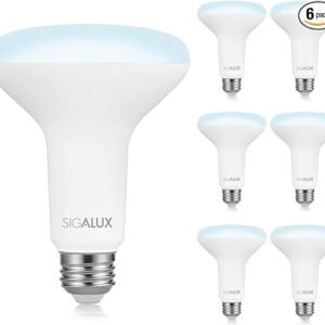 Sigalux Luces LED de inundación para interiores, bombilla LED BR30 equivalente a 65 W, bombillas empotrables regulables de 650 lúmenes, 5000 K, bombillas de luz diurna con base E26, certificación UL
