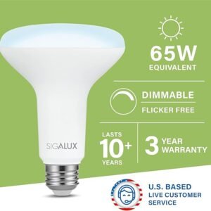 Sigalux Luces LED de inundación para interiores, bombilla LED BR30 equivalente a 65 W, bombillas empotrables regulables de 650 lúmenes, 5000 K, bombillas de luz diurna con base E26, certificación UL,