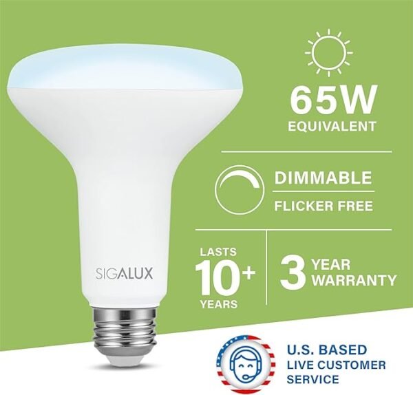 Sigalux Luces LED de inundación para interiores, bombilla LED BR30 equivalente a 65 W, bombillas empotrables regulables de 650 lúmenes, 5000 K, bombillas de luz diurna con base E26, certificación UL,