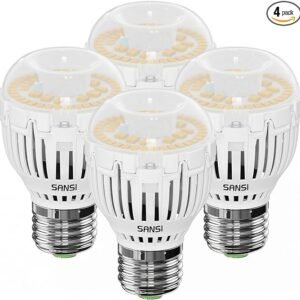 SANSI Bombilla LED A15 equivalente a 100 W, bombilla blanca de luz diurna de 1600 lúmenes, 5000 K, ahorro de energía de 25,000 horas de vida útil, no regulable, bombilla LED de 12 W para iluminación