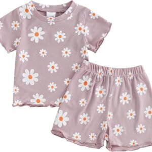 Toddler Baby Girl Summer Clothes Cute Florals Embroidered Short Sleeve Tops Shorts Set 2pcs Outfits