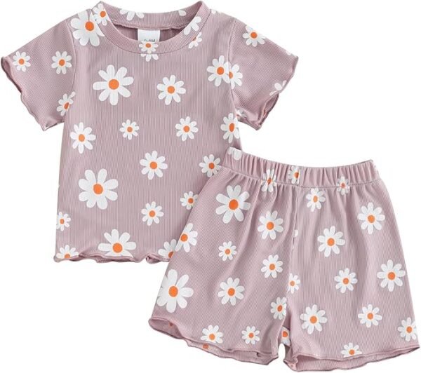 Toddler Baby Girl Summer Clothes Cute Florals Embroidered Short Sleeve Tops Shorts Set 2pcs Outfits