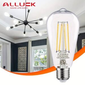 6pcs Vintage LED Edison Bulbs, 5.5W Dimmable White (2700K/5000K), ST19/ST58 Antique Filame